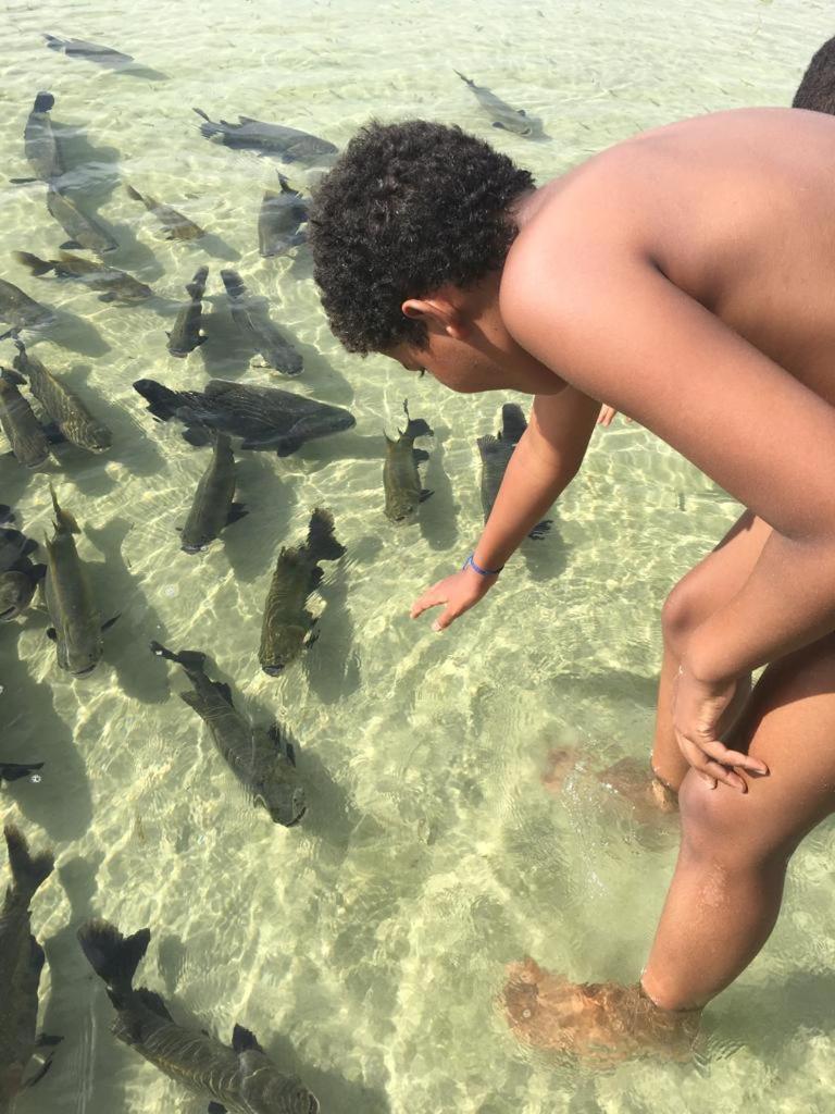 Villa Das Aguas -Praia Do Saco -Proximo As Lagoas Dos Tambaquis E Mangue Seco -Terreo Estância Dış mekan fotoğraf